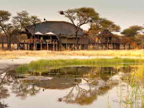 Onguma Tree-Top Camp